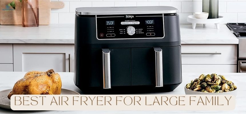 Top Best Large Capacity Air Fryer For Your Family!